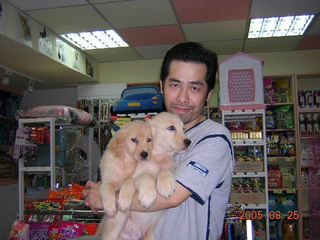 陈道明的第六张照片--长泰征婚网