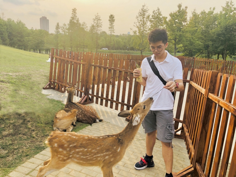 米兰的小铁匠的第一张照片--长泰征婚网